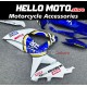 Suzuki GSX-R 600/750 2008-2010 Fairing P/N 2E55