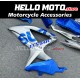 Suzuki GSX-R 600/750 2008-2010 Fairing P/N 2E56