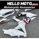 Suzuki GSX-R 600/750 2008-2010 Fairing P/N 2E57
