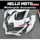 Suzuki GSX-R 600/750 2008-2010 Fairing P/N 2E57