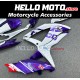 Suzuki GSX-R 600/750 2008-2010 Fairing P/N 2E58 Suzuki GSX-R 600/750 2008-2010 Fairing P/N 2E58