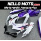 Suzuki GSX-R 600/750 2008-2010 Fairing P/N 2E58 Suzuki GSX-R 600/750 2008-2010 Fairing P/N 2E58