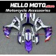 Suzuki GSX-R 600/750 2008-2010 Fairing P/N 2E58 Suzuki GSX-R 600/750 2008-2010 Fairing P/N 2E58