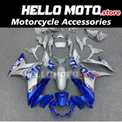 Suzuki GSX-250R 2017-2024 Fairing P/N 2Q1