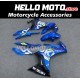 Suzuki GSX-250R 2017-2026 Fairing P/N 2Q5