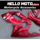 Yamaha YZF600R Thundercat 1996-2007 Fairing P/N 3P4