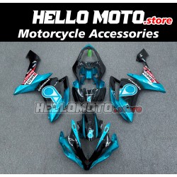 Yamaha YZF-R1 2007-2008 Fairing P/N 3E20