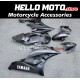 Yamaha YZF-R6 2006-2007 Fairing P/N 3L39