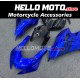 Yamaha YZF-R6 2017-2025 Fairing P/N 3N30