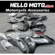 Yamaha YZF-R6 2017-2021 Fairing P/N 3N10