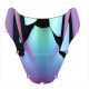 Windscreen For Honda CBR 929RR 2000-2001