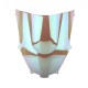 Windscreen For Kawasaki ZX-9R 2000-2005