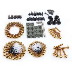 Stainless Steel Screw Set 195 Pcs (Universal Model) - Gold