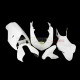 Ducati Superbike 848/1098/1198 2007-2012 Racing Fairing P/N 6D-Race