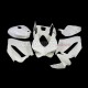 Ducati Superbike 959/1299 2015-2018 Racing Fairing P/N 6F-Race