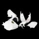 Honda CBR 1000RR 2012-2016 Racing Fairing P/N 1AR-Race