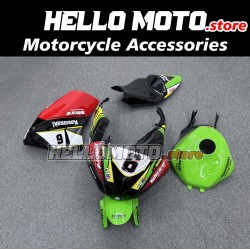 Kawasaki ZX-6R 636 2009-2012 Racing Fairing P/N 4F-Race2