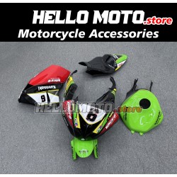 Kawasaki ZX-6R 636 2009-2012 Racing Fairing P/N 4F-Race2