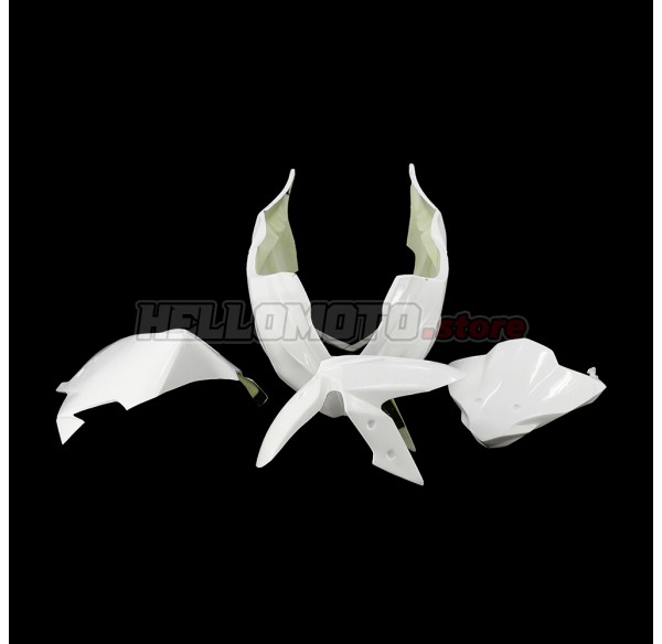 Kawasaki Ninja 300 2013-2018 Racing Fairing P/N 4W-Race