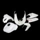 Kawasaki ZX-6R 636 2005-2006 Racing Fairing P/N 4D-Race