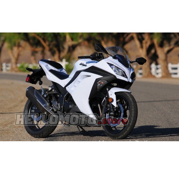 Kawasaki Ninja 300 2013-2018 Fairing P/N 4W8