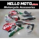 Honda CBR 600 F4I 2004-2007 Fairing P/N 1AA13