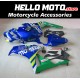 Honda CBR 1000RR 2006-2007 Fairing P/N 1G67 Honda CBR 1000RR 2006-2007 Fairing P/N 1G67