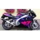 Kawasaki ZX-10R 2021-2025 Fairing P/N 4N3