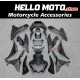 Suzuki GSX-250R 2017-2026 Fairing P/N 2Q4 Suzuki GSX-250R 2017-2026 Fairing P/N 2Q4