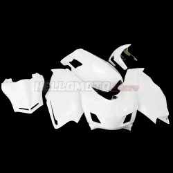 Ducati Superbike 749/999 2003-2006 Racing Fairing P/N 6B-Race