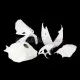 Honda CBR 1000RR 2012-2016 Racing Fairing P/N 1AR-Race