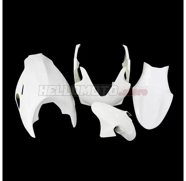 Honda CBR 600 F4I 2001-2007 Racing Fairing P/N 1AX-Race Honda CBR 600 F4I 2001-2007 Racing Fairing P/N 1AX-Race