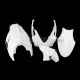 Honda CBR 600 F4I 2001-2007 Racing Fairing P/N 1AX-Race Honda CBR 600 F4I 2001-2007 Racing Fairing P/N 1AX-Race