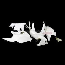 Honda CBR 600RR 2005-2006 Racing Fairing P/N 1B-Race