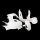 Honda CBR 600RR 2007-2012 Racing Fairing P/N 1C-Race Honda CBR 600RR 2007-2012 Racing Fairing P/N 1C-Race