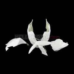 Kawasaki Ninja 300 2013-2018 Racing Fairing P/N 4W-Race Kawasaki Ninja 300 2013-2018 Racing Fairing P/N 4W-Race