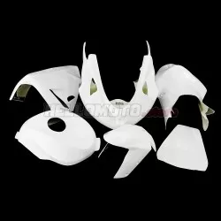 Kawasaki ZX-10R 2004-2005 Racing Fairing P/N 4AX-Race
