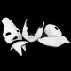 Kawasaki ZX-6R 636 2003-2004 Racing Fairing P/N 4C-Race