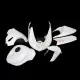 Kawasaki ZX-6R 636 2005-2006 Racing Fairing P/N 4D-Race