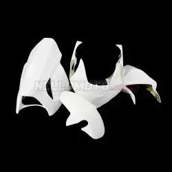Suzuki GSX-R 1000 2003-2004 Racing Fairing P/N 2AE-Race