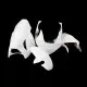 Suzuki GSX-R 1000 2003-2004 Racing Fairing P/N 2AE-Race