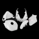 Yamaha YZF-R6 2006-2007 Racing Fairing P/N 3L-Race