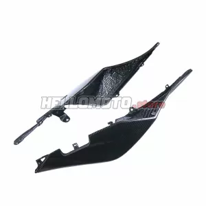 Aprilia RSV4 2009-2020 Carbon Fiber Rear Seat Side Panel