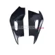 Aprilia RSV4 2009-2020 Carbon Fiber Swingarm Cover Aprilia RSV4 2009-2020 Carbon Fiber Swingarm Cover