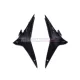 Aprilia RSV4 2009-2020 Carbon Fiber Seat Side Panel Aprilia RSV4 2009-2020 Carbon Fiber Seat Side Panel