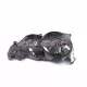 Aprilia RSV4 2021-2024 Carbon Fiber Right Engine Cover
