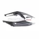 Aprilia RSV4 2021-2024 Carbon Fiber Rear Side Panel