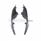 Aprilia RSV4 2021-2024 Carbon Fiber Rear Side Panel