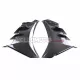 Aprilia RSV4 2021-2024 Carbon Fiber Side Fairing Center