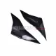 Aprilia RSV4 2021-2024 Carbon Fiber Seat Lower Side Panel Aprilia RSV4 2021-2024 Carbon Fiber Seat Lower Side Panel